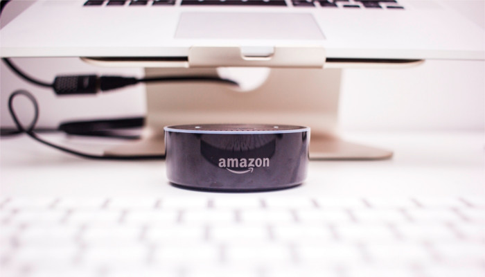 Alexa projects